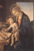 Sandro Botticelli Madonna and child or Madonna of the book oil painting artist